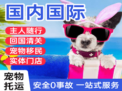 果洛玛沁机场邮寄国际宠物托运 【国